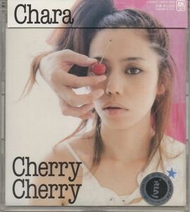 帯付CD★Chara／Cherry Cherry★レンタル盤