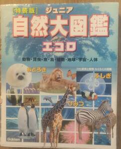 学研「ジュニア自然大図鑑　エコロ　ー動物・昆虫・魚・鳥・植物・地球・宇宙・人体ー」　管理番号20240426