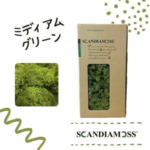 スカンディアモス SCANDIAMOSS ミディアムグリーン 50ｇ ディスプレイ 苔 モス 天然素材 緑 メンテナンスフリー