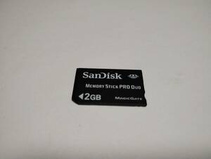 一部色塗り有り　2GB　SanDisk　メモリースティックプロデュオ MEMORY STICK PRO DUO　メモリーカード