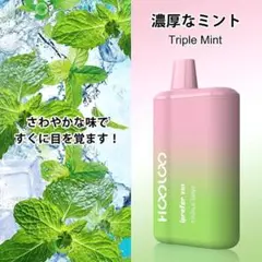 ✨電子タバコ  vape 使い捨て 6000回吸引 トリプルミント