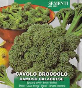 ブロッコリーの種 30粒 カラブリーゼ RAMOSO CALABRESE 早生種 固定種