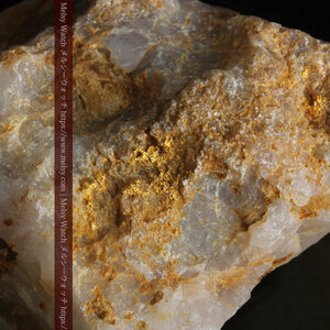72gの巨大な石英に存在する自然なままの姿の自然金・金鉱石　オーストラリア採掘品・ゴールドナゲット《商品番号G0308》