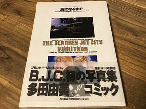 S/写真集/コミック/灰になるまで/多田由美/ブランキージェットシティー/THE BLANKEY JET CITY
