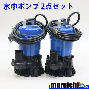 【1円】 水中ポンプ ツルミ HS2.4S 2点セット 100V 60Hz 口径50mm 清水用 農業 送水 鶴見製作所 建設機械 整備済 福岡発 売切り 中古 3R25