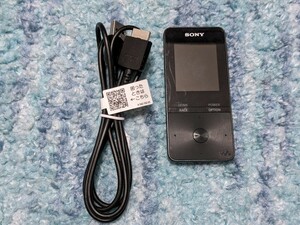 0604u1941　ソニー(SONY) ウォークマン Sシリーズ 4GB NW-S313 MP3プレーヤー