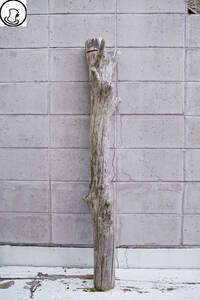 SEASIDEinterior☆かっこいい流木,Cool driftwood for decorating 83