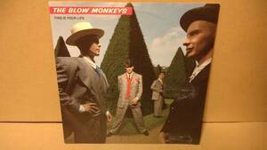 【80s 7inch】BLOW MONKEYS / This Is Your Life 英国版 PB42149 ブロウモンキーズ エレポップ