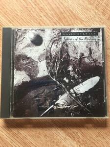 David Sylvian - SECRETS OF BEEHIVE [CD]　坂本龍一参加　1987年発売 VJD-32005 日本盤