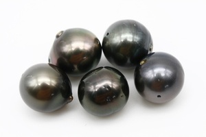 タヒチ黒蝶真珠パールルース　両穴　5ピース　13-12mm　ブラックカラー
