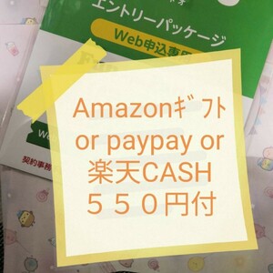 即対応 オマケ付　５５０円付（pay/アマ/楽天）マイぴたキャンペーン対応 mineoマイネオエントリーパッケージ　コード　紹介URL 招待 496