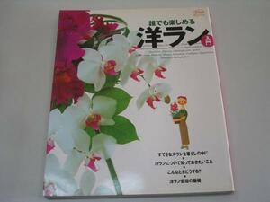 ●誰でも楽しめる洋ラン入門●洋蘭●即決