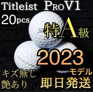 ★特A級★最新2023モデル タイトリスト Titleist PROV1 20球 ゴルフボール ★ロストボール プロV1 