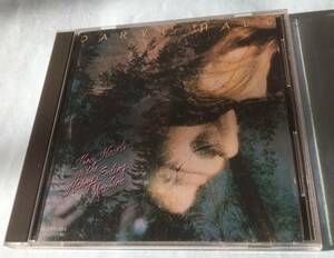 ★☆送料込み　CD ダリル・ホール /ドリーム・タイム DARYL HALL　Three Hearts In The Happy Ending Machine☆★