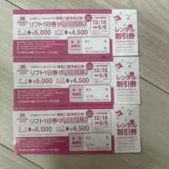 丸沼高原スキー場  リフト1日券1000円引き券　2枚　23-24シーズン