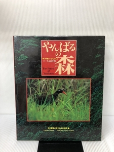 やんばるの森―輝く沖縄のいきものたち 東洋館出版社 日本野鳥の会やんばる支部