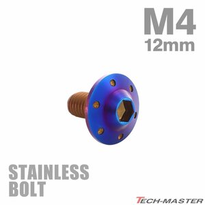 M4×12mm P0.7 ボタンボルト ステップホールヘッド ステンレス 焼きチタンカラー カウル フェンダー 車 バイク カスタム 1個 TR0197