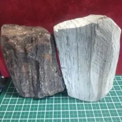珪化木、木みたいな堆積岩、面白い天然石、管理No.60302