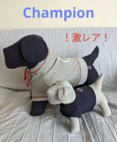 【Champion】犬　ぬいぐるみ　人形　スウェット生地