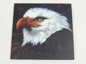 CD+DVD / MOGWAI / THE HAWK IS HOWLING / 『M17』 / 中古