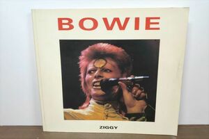 【即決】BOWIE ZIGGY 洋書 デビッドボウイ 写真集？　デヴィッドボウイ