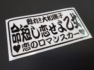 045【送料無料】☆命短し恋せよ乙女☆ ステッカー シール 工具箱 車 デコトラ トラック 切り抜き文字 ★色&文字変更対応可★
