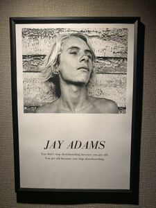 zflex dogtown Jay adams ジェイアダムス A4 額付き 送料込み