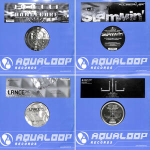 Aqualoop Records 14枚セット / Rocco / Pulsedriver / DJ Lee / Ziggy X / RedWing / DJ Manian / SveN-R-G vs. Bass-T Present DJ Uto