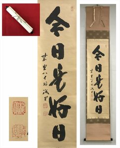 【千寿】大徳寺派 三玄院 藤井誡堂 今日是好日 一行 紙本 d322◆箱/茶道具/古美術/時代品/掛軸/100017691