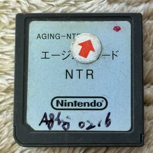 Nintendo DS Factory Test Cartridgeエージングカード NTR プロトタイプ 開発用 非売品 入手困難品