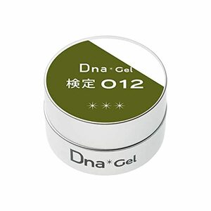 Dna Gel カラージェル 検定012 2.5g UV/LED対応