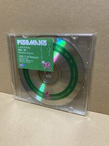 PROMO ONLY！稀CD！フィッシュマンズ Fishmans / Ikareta Baby いかれたBaby Universal UPCH-5345 見本盤 プロモ 非売品 SAMPLE 2005 JAPAN