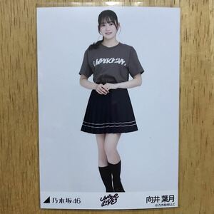 乃木坂46 向井葉月 29thSG アンダーライブ Tシャツ 生写真 ヒキ 1枚 検) 会場 販売 29th シングル