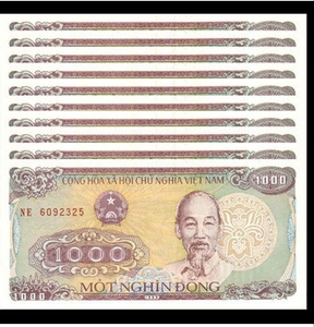 未使用 ベトナム 10,000ドン 紙幣セット ⑧