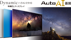 限定1台★４K有機ELテレビ55型★4Kダブルチューナー内蔵ビエラ★ハイグレードモデル