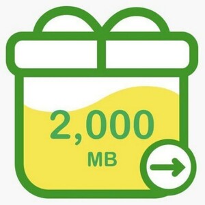 mineo パケットギフト 約2GB（2000MB）