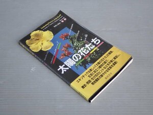 【写真図鑑】太陽の花たち／解説・写真 関緑◆銀河書房/1993年◆植物/生け花/園芸