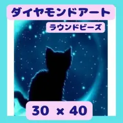 【お値下げしました！】ダイヤモンドアート☆月と黒猫【少し大きめ】