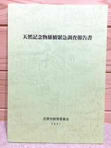 ●9/天然記念物雄橋緊急調査報告書 庄原市教育委員会 帝釈峡雄橋 広島県 帝釈川