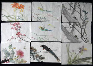 中国絵画　花鳥画　手描き　試作　9枚セット　手本　墨彩画　水墨画　書道　篆刻　１