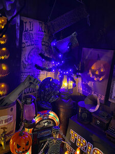 LED球で光る！巨大ホラースパイダー　全長55cm ■ パーティー 飾り アメリカ雑貨 ハロウィン