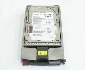 HP 177986-001 (BD0366536B) 36GB Wide Ultra3 SCSI SCA 10krpm マウンタ付