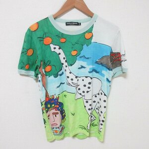 美品 希少 DOLCE＆GABBANA ドルチェ&ガッパーナ 風景プリント シチリヤ景色 半袖 Tシャツ カットソー サイズ44 マルチカラー