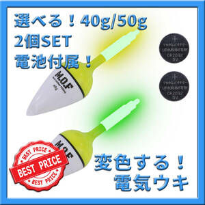 40g/50g混合！変色電気ウキ 2個セット 電池付属！沈むと色が変わる LED 投げサビキ サビキウキ型 撒き餌 かご釣り