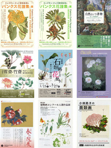 【博物展チラシ】『植物図譜』植物画 ボタニカルアート 植物図譜◆美品