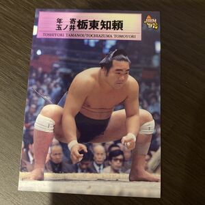 ９７ＢＢＭ　８５　玉ノ井部屋　栃東　大相撲カード