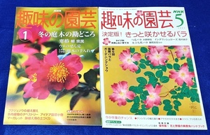 単行本 NHK趣味の園芸2004年 1月号・5月号 NHK出版 [中古]