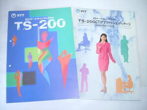 カタログ NTT EDマーケティングシステム TS-200 CTI 1995年5月 レトロ パンフレット オフィス電話 テレマーケティングシステム