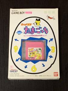たまごっち　ゲームボーイポケット　限定版　ニンテンドー　ピンクのたまごっちセット　中古品　