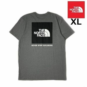 売切り【正規新品】THE NORTH FACE S/S BOX NSE TEE 半袖 Tシャツ US限定 ボックスロゴ 男女兼用 アウトドア キャンプ(XL)グレー 180902-13